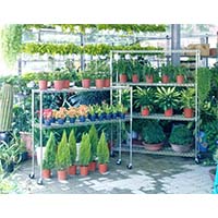 花草植物種植儲物架，立體種植貨架，園藝盆栽置物架（2）