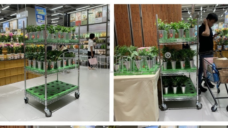 客戶(hù)案例展示：超市植物陳列金屬網(wǎng)架解決方案